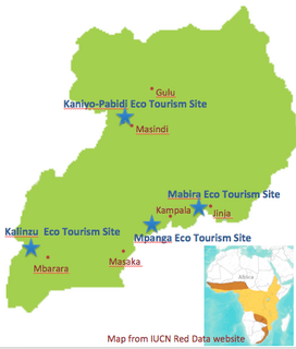 スクリーンショット（2013-12-10 15.26.14）.png