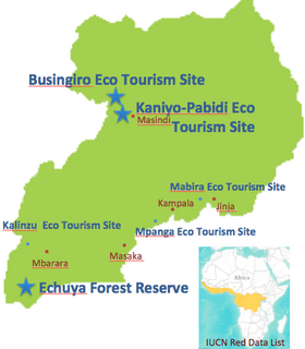 スクリーンショット（2014-02-27 10.38.46）.png