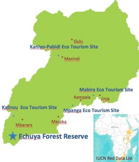 スクリーンショット（2014-03-28 12.09.00）.jpg